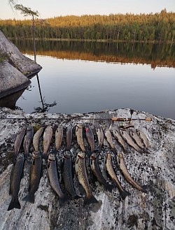 Рыбалка на кумжу