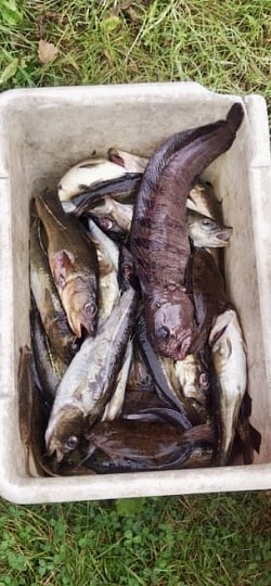 Рыбалка в Белом море