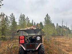 Охота в Карелии